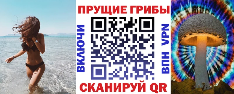 ОМГ ОМГ ссылки  Уфа  Псилоцибиновые грибы Psilocybine cubensis  где продают наркотики 